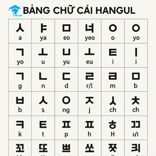 Bảng chữ cái tiếng Hàn Hangul đầy đủ cho người mới bắt đầu tại Tân Việt Prime
