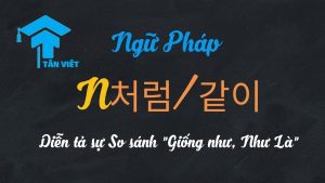 Cấu Trúc So Sánh Tương Đồng: N + 처럼 / 같이 (Giống Như N) – Ngữ Pháp Tiếng Hàn Sơ Cấp.