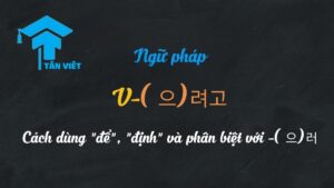 Học ngữ pháp V -(으)려고 trong tiếng Hàn cùng Tân Việt Prime