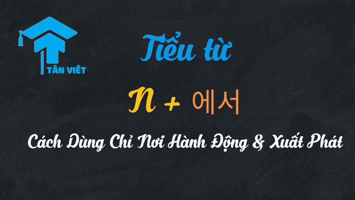 Tiểu Từ 에서 Cách Dùng Chỉ Nơi Hành Động & Xuất Phát | Tân Việt Prime 1 Minh họa cách dùng 'N에서' để chỉ địa điểm và nguồn gốc trong câu tiếng Hàn.