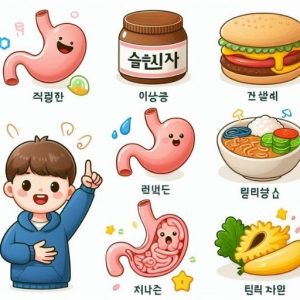 Hình ảnh minh họa Từ Vựng Tiếng Hàn Về Bệnh Dạ Dày