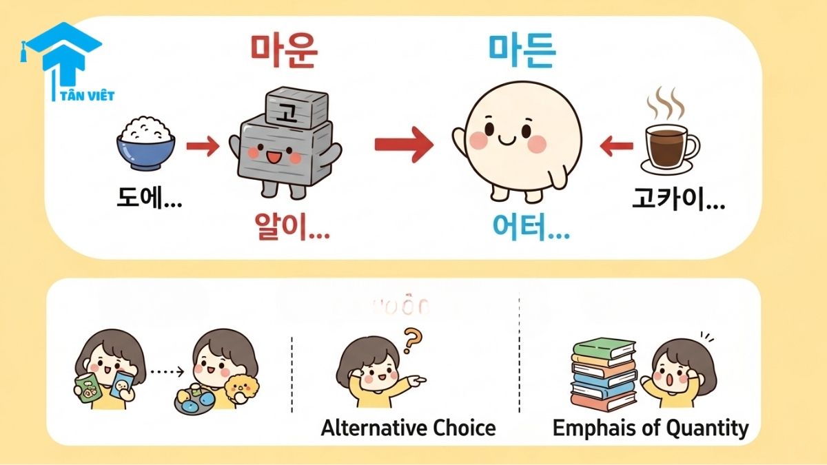 Ngữ pháp N + (이)나: Toàn Tập 3+ Cách Dùng "Hoặc", "Đến Tận" & Phân Biệt Với -거나 1 Cute Korean infographic explaining the grammar N + (이)나 with forms "이나" (consonant) and "나" (vowel) and the meanings: choice, alternative, and emphasis of quantity.