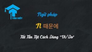 Infographic tổng quan về ngữ pháp N 때문에 trong tiếng Hàn và ý nghĩa 'vì/do'.