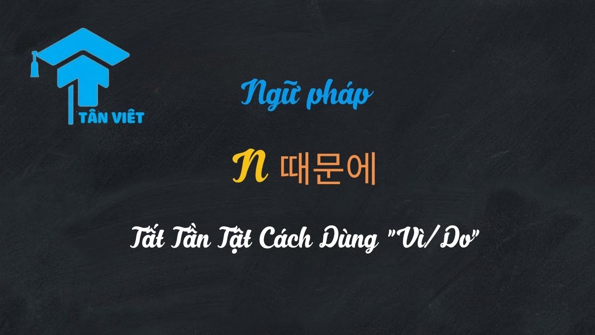 Ngữ pháp N 때문에: Tất Tần Tật Cách Dùng "Vì/Do" (Cập nhật 2025) 1 Infographic tổng quan về ngữ pháp N 때문에 trong tiếng Hàn và ý nghĩa 'vì/do'.