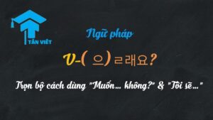 Cách chia động từ tiếng Hàn với ngữ pháp V-(으)ㄹ래요?